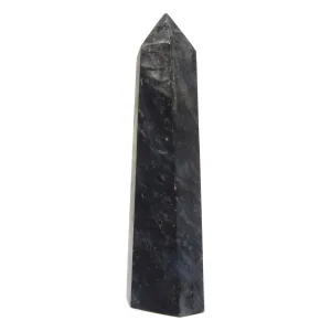 Arfvedsonite Tower Wand Zip Zap Flash Energy Point