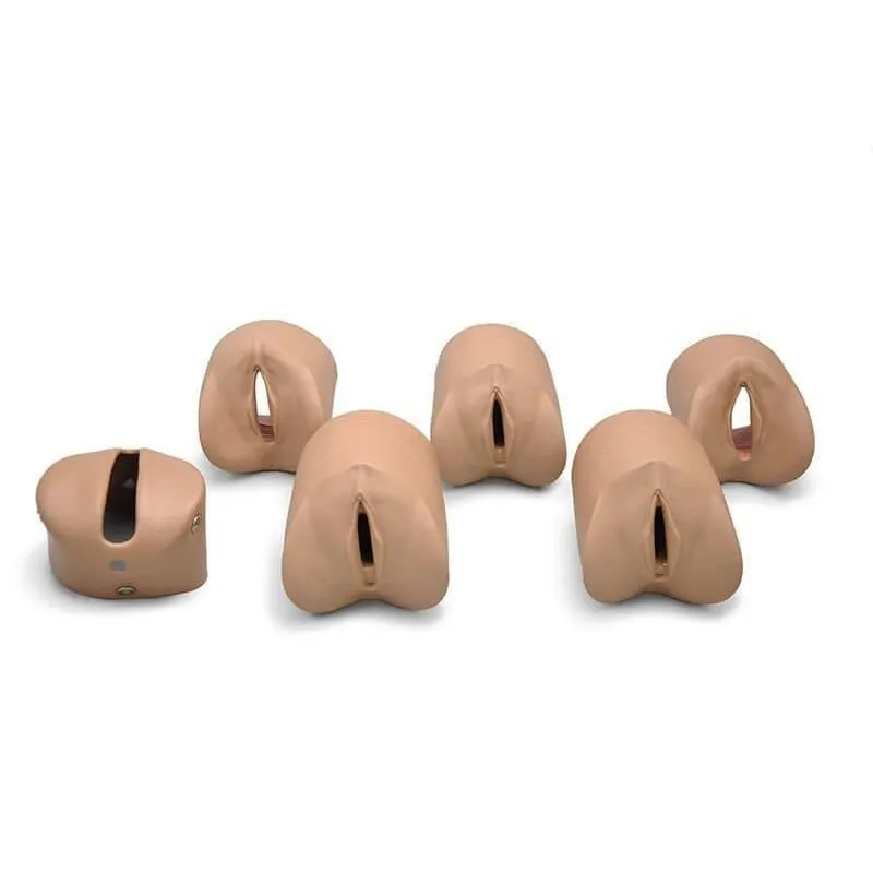 Cervical Dilation Modules for Obstetric Susie®