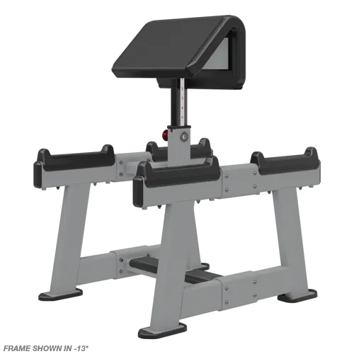 Nautilus Standing Preacher Curl