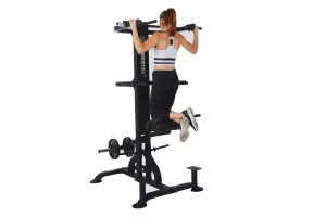 Powertec LeverGym Chin/Dip Assist