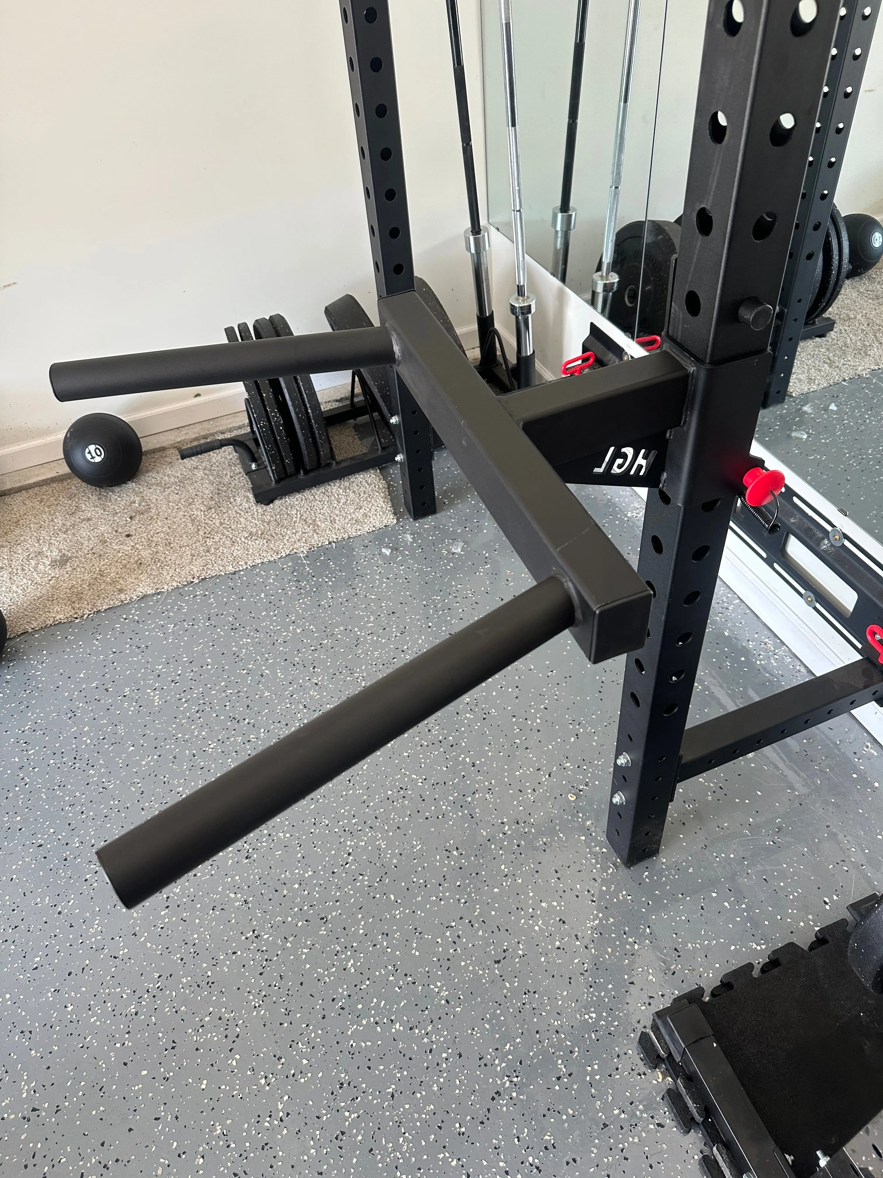 Squat Rack Dip Station